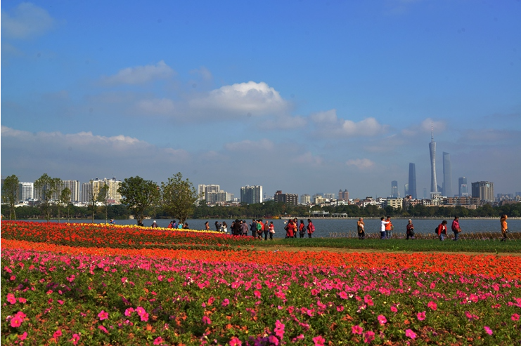 00264《旖旎花城》