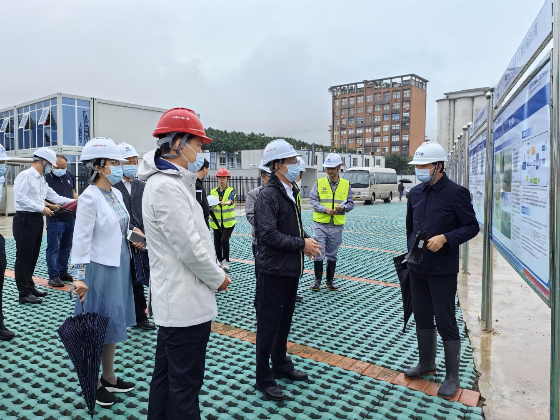 市生態環境局到番禺調研生態環境保護工作