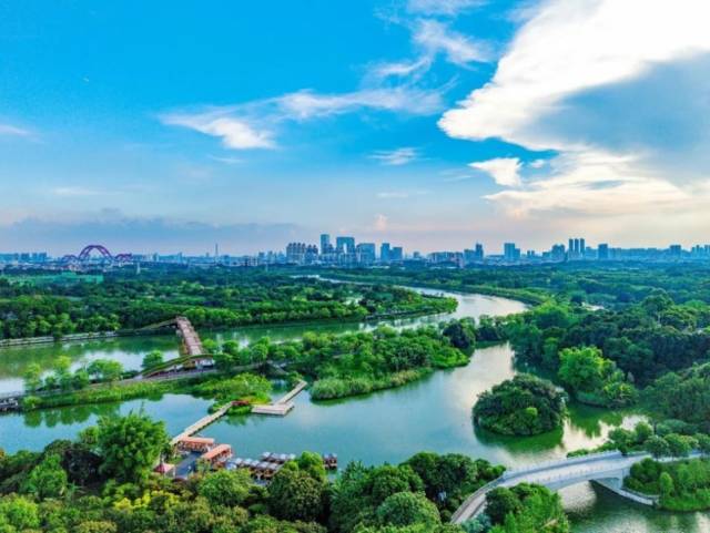 經系統整治,海珠濕地河湖換新顏 受訪者 供圖 經系統整治,海珠濕地河湖換新顏 受訪者 供圖