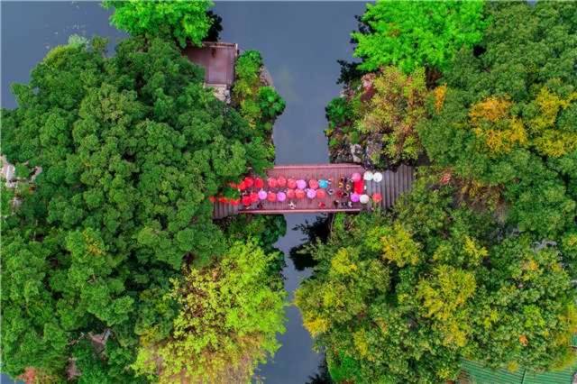 荔灣湖 受訪者 供圖