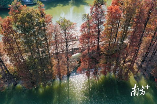 南方+ 徐昊 拍攝 南方+ 徐昊 拍攝