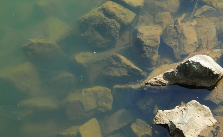 流溪河流域內(nèi)國考、省考斷面水質(zhì)持續(xù)實現(xiàn)全面達標,流溪河治理取得了顯著成效。