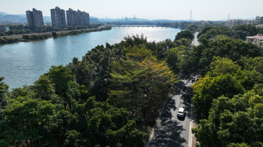 在美麗河湖建設領(lǐng)域,廣州流溪河入選了生態(tài)環(huán)境部美麗河湖優(yōu)秀案例。