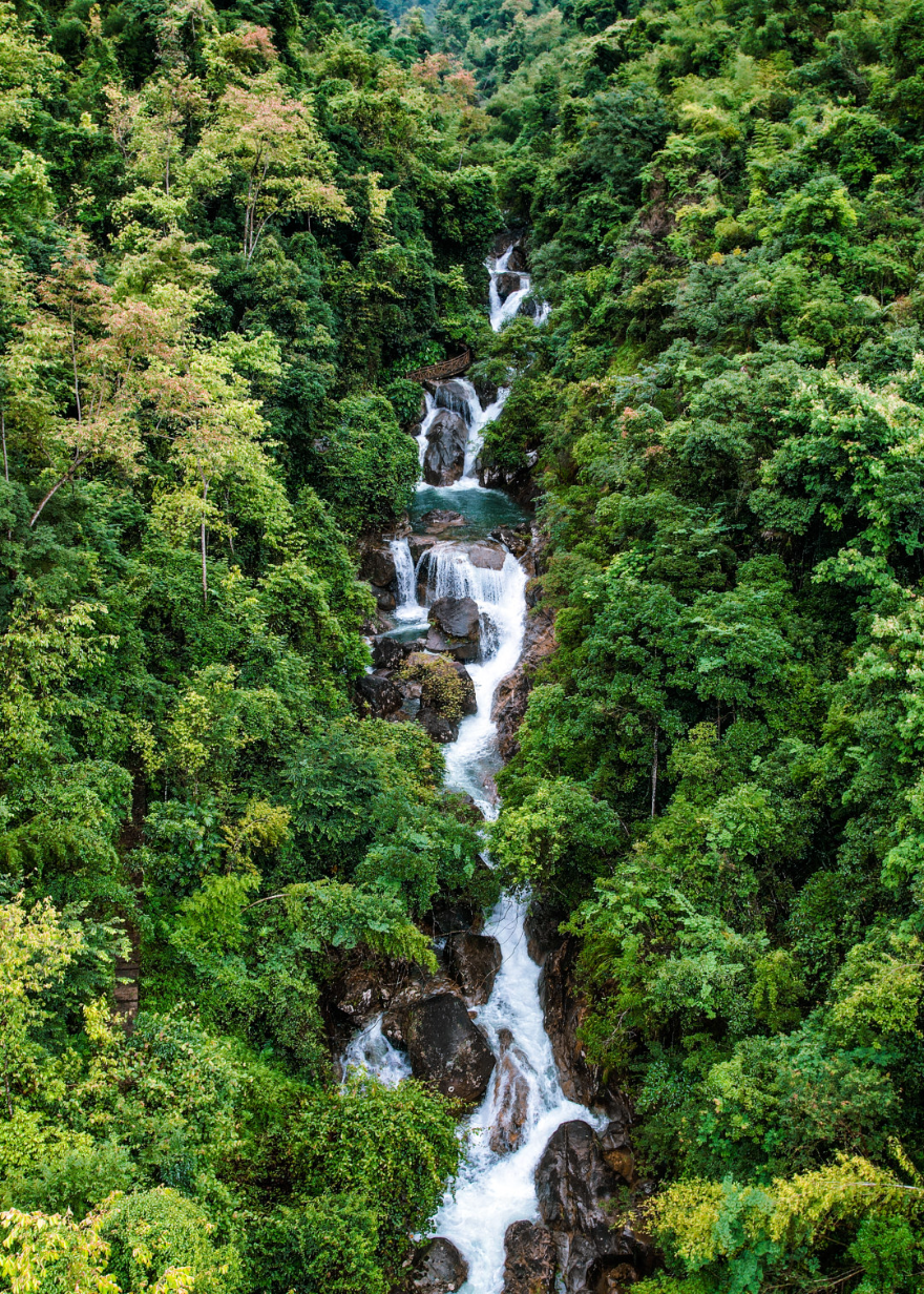 廣州從化:生態(tài)環(huán)境持續(xù)向好 引來這群“兩棲精靈”流溪河國(guó)家森林公園)