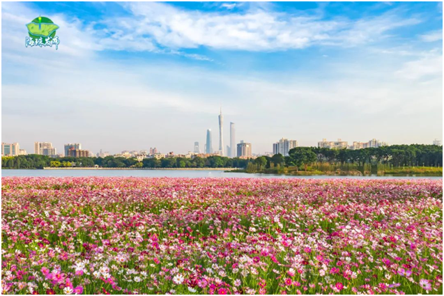 海珠湖(圖片來源:海珠發布) 海珠湖(圖片來源:海珠發布)