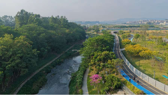 1772243969833036123.png image.png